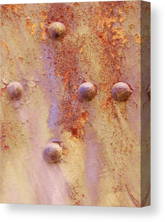 Rust Photographs Canvas Print featuring the photograph Lavender in Rust by Charles Lucas