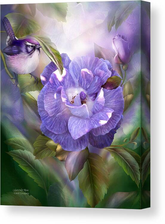 Rose Canvas Print featuring the mixed media Lavender Rose by Carol Cavalaris