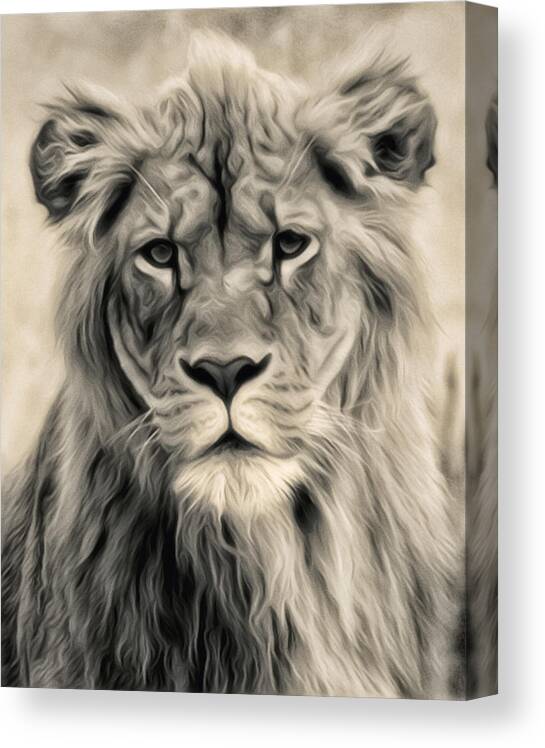Lion Canvas Print featuring the photograph Lion by Wade Aiken