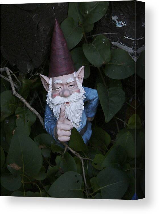 Garden Gnome Canvas Print featuring the photograph Listen Up by Rhonda McDougall