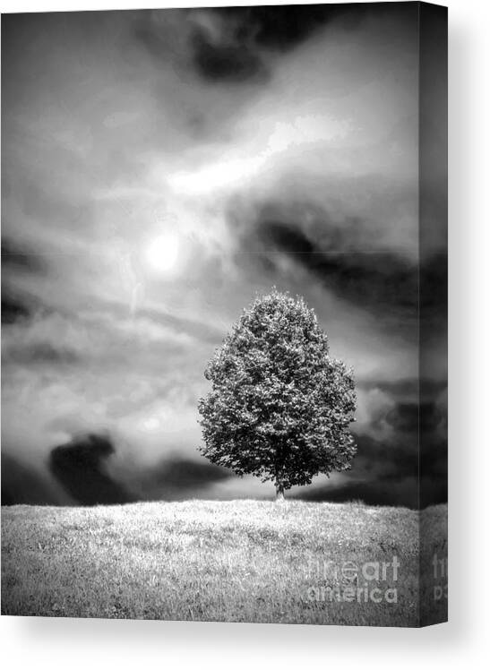 Landscape Canvas Print featuring the photograph Lonely by Rory Siegel