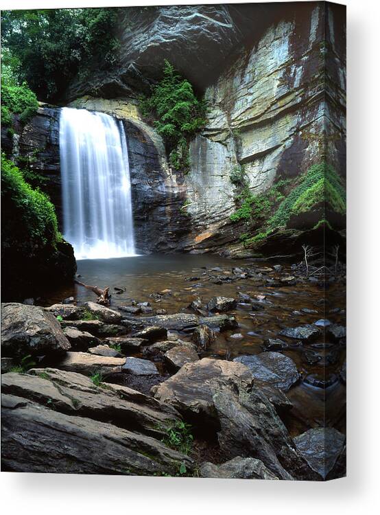 Looking Glass Falls Canvas Print featuring the photograph Looking Glass Falls by Ray Mathis