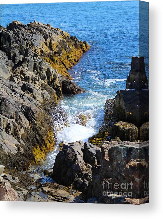 Landscape Canvas Print featuring the photograph Marginal Way Crevice by Jemmy Archer