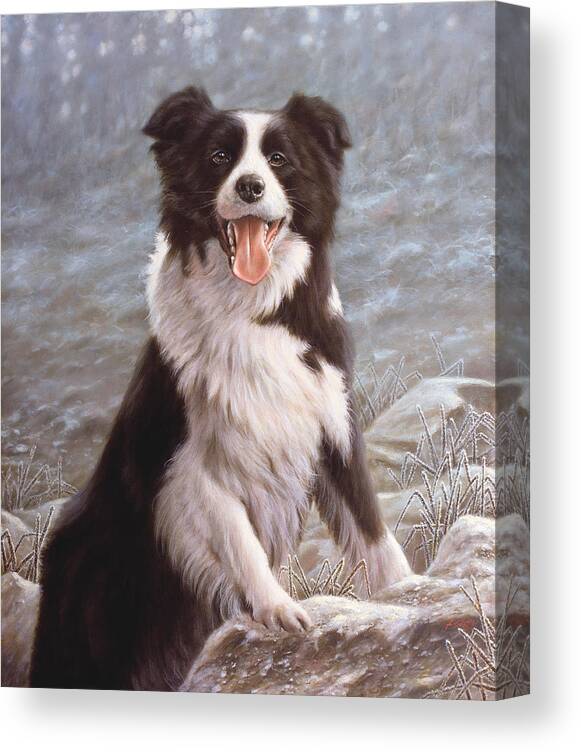 Border Collie Canvas Print featuring the painting Morning Frost by John Silver