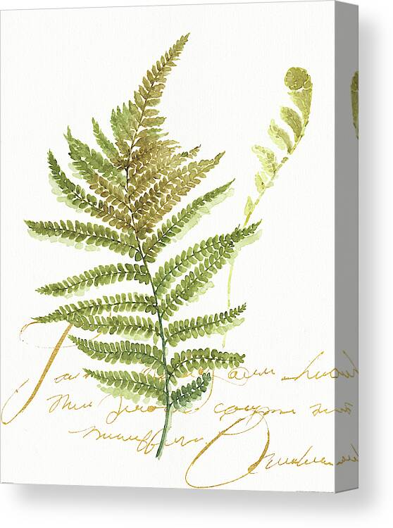 Botanical Canvas Print featuring the painting My Greenhouse Fern II by Lisa Audit