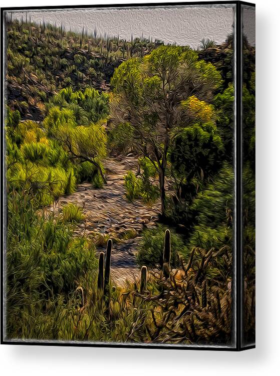 Mark Myhaver 2014 Canvas Print featuring the photograph Mystic Wandering by Mark Myhaver