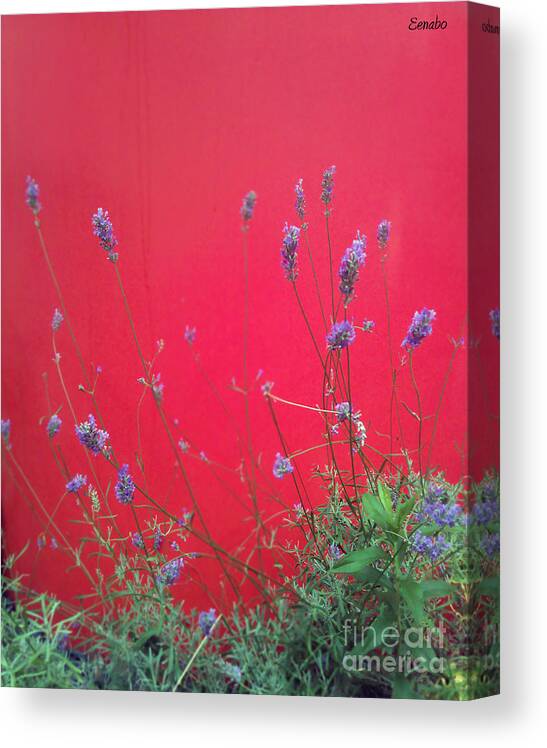 Flowers Canvas Print featuring the photograph Nature and the City by Eena Bo