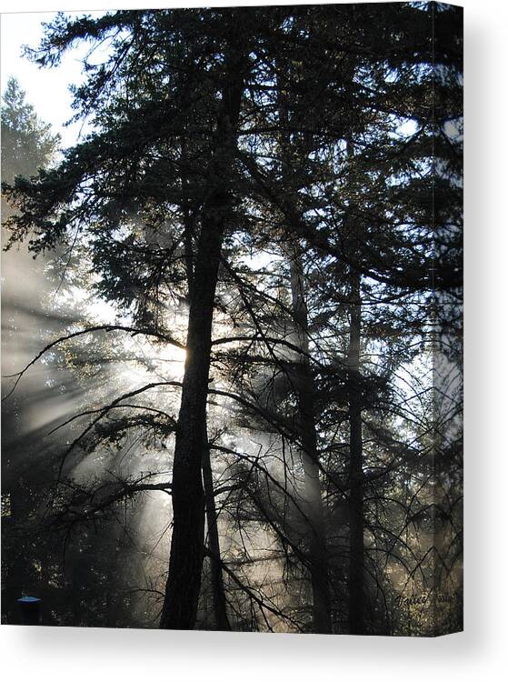 Landscape Canvas Print featuring the photograph Northwoods Morning by Vallee Johnson