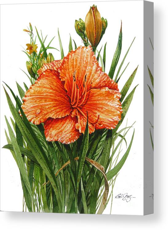 Wildflower Canvas Print featuring the painting Orange Lily by Bob George