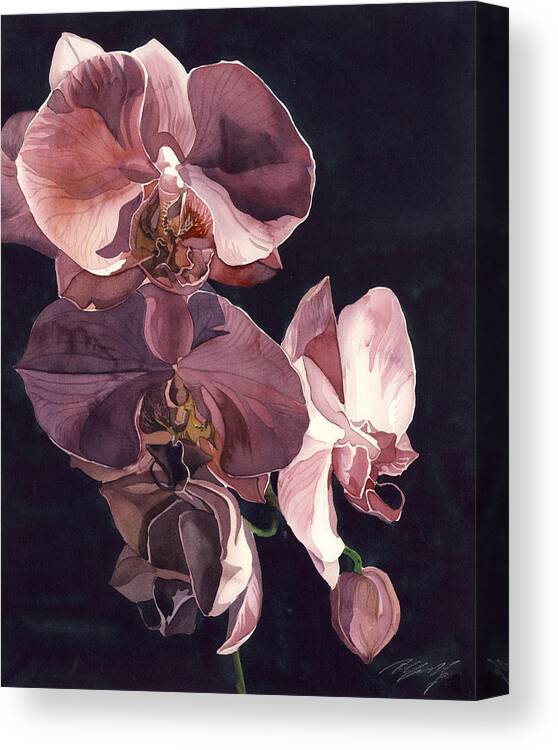 Orchid Canvas Print featuring the painting Orchids in pink by Alfred Ng