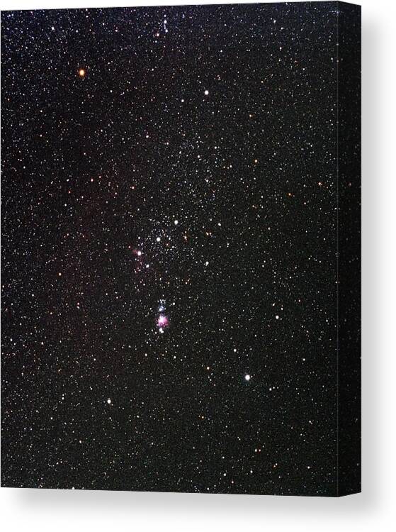 Sky Canvas Print featuring the photograph Orion by Alan Ley