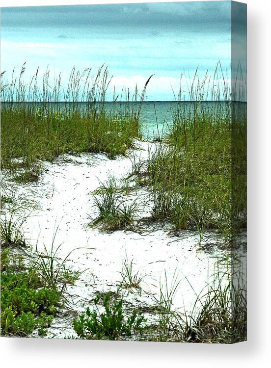 Seascape Canvas Print featuring the photograph Path to the Beach by Norman Johnson