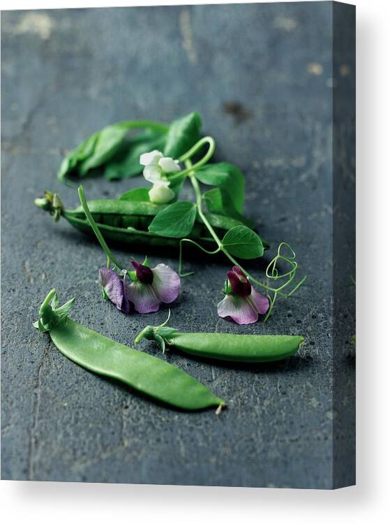 Fruits Canvas Print featuring the photograph Pea Pods And Flowers by Romulo Yanes