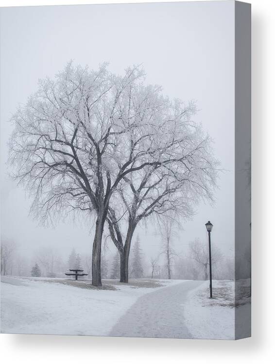 B&w Canvas Print featuring the photograph Peace by Sandra Parlow