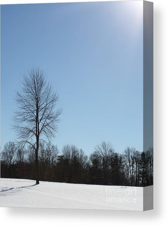Sun Canvas Print featuring the photograph Peaceful Winter Scene by Anita Oakley