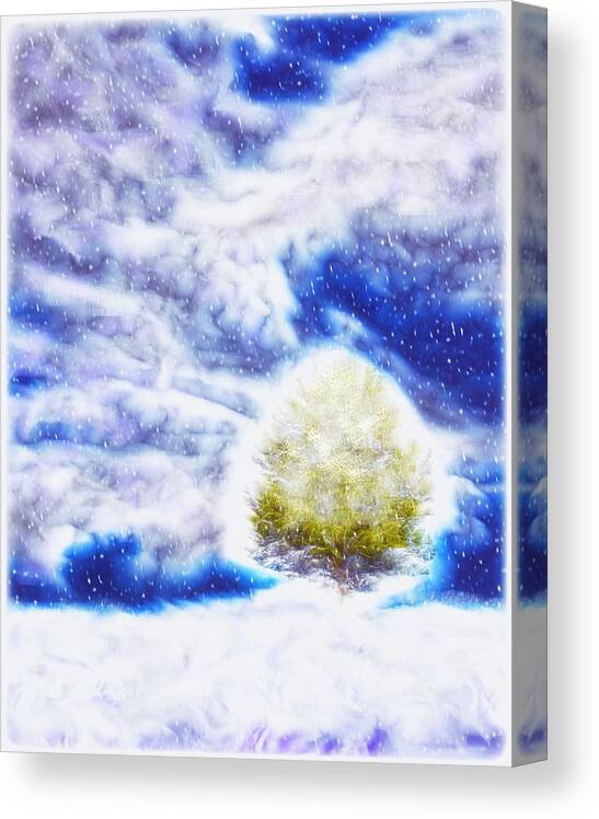 Digital Canvas Print featuring the digital art Pine Tree in Winter by Lilia S