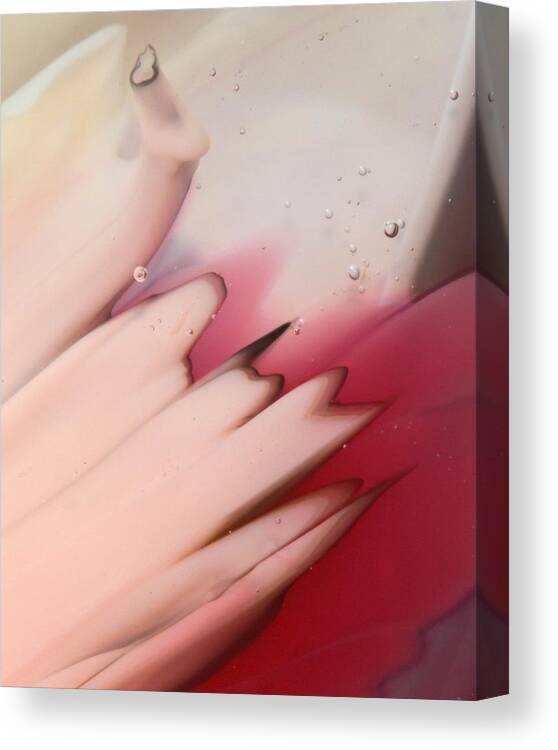 Abstract Canvas Print featuring the photograph Pink on Pink by Kimberly Lyon