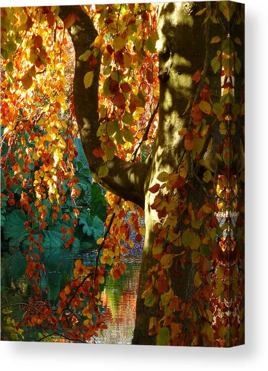 Autumn Canvas Print featuring the photograph Plucking The Rainbow by Connie Handscomb