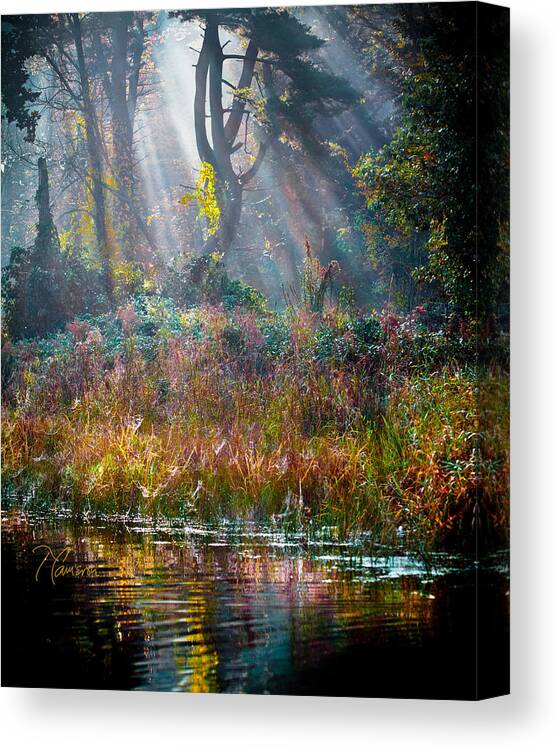 Farmington River Canvas Print featuring the photograph Pool of Optimism by Tom Cameron