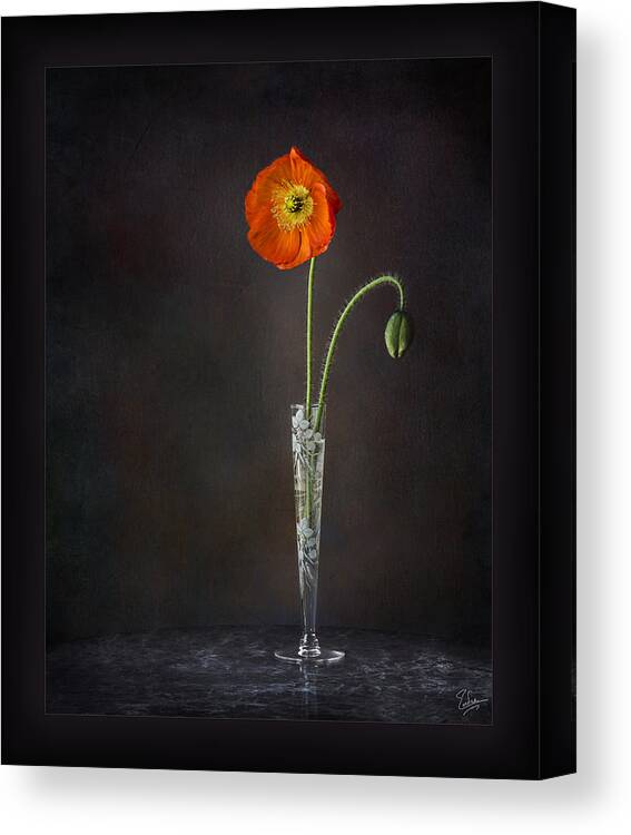 Flower Canvas Print featuring the photograph Poppy In Vase by Endre Balogh