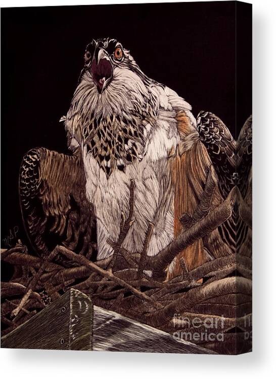 Osprey Canvas Print featuring the photograph Protecting the Nest by Margaret Sarah Pardy