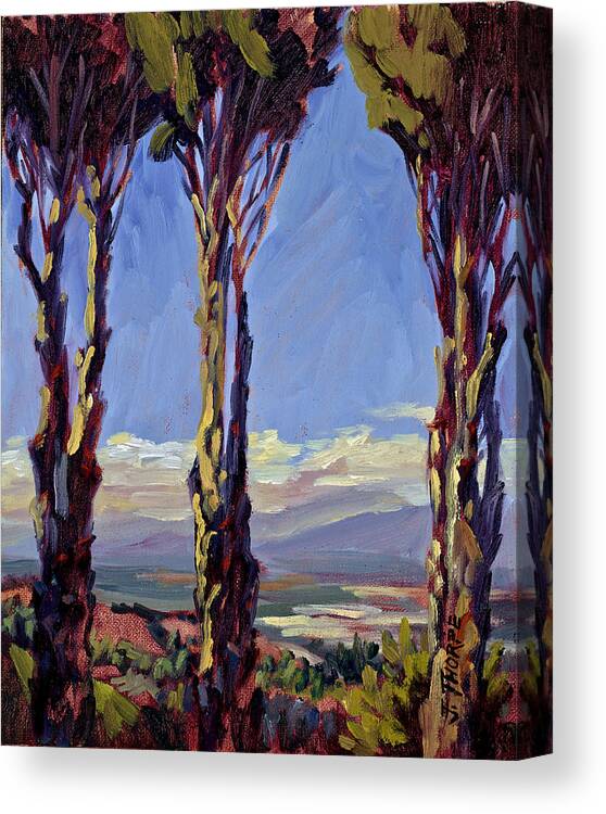 Cypress Canvas Print featuring the painting Pruned for the View by Jane Thorpe