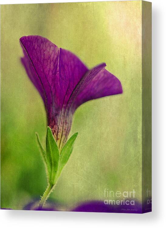 Flower Canvas Print featuring the photograph Purple Wave Petunia by Mary Jane Armstrong