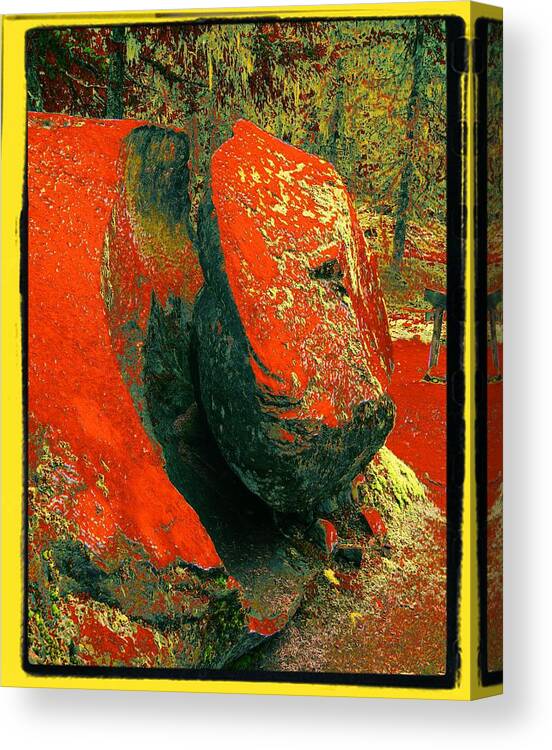 Volcanic Rock Canvas Print featuring the photograph Ramona's Offspring by Laureen Murtha Menzl