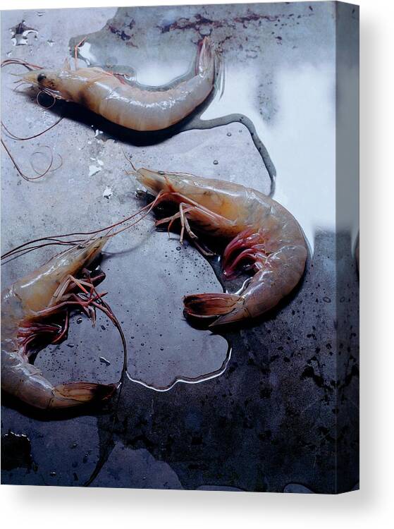 Cooking Canvas Print featuring the photograph Raw Shrimp by Romulo Yanes