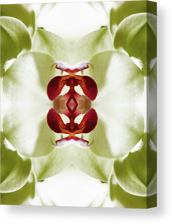 Tranquility Canvas Print featuring the photograph Red Orchid by Silvia Otte
