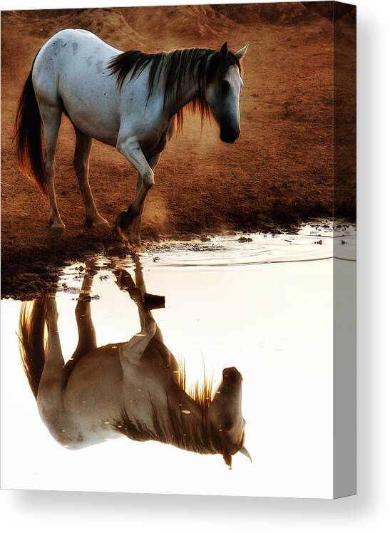 Horse Canvas Print featuring the photograph Red Rock Reflections by Ron McGinnis