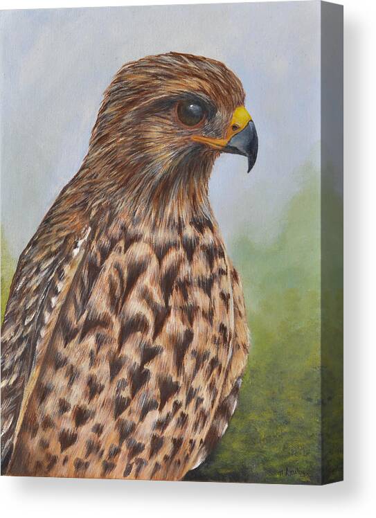 Hawk Canvas Print featuring the painting Red Shouldered Hawk by Nancy Lauby