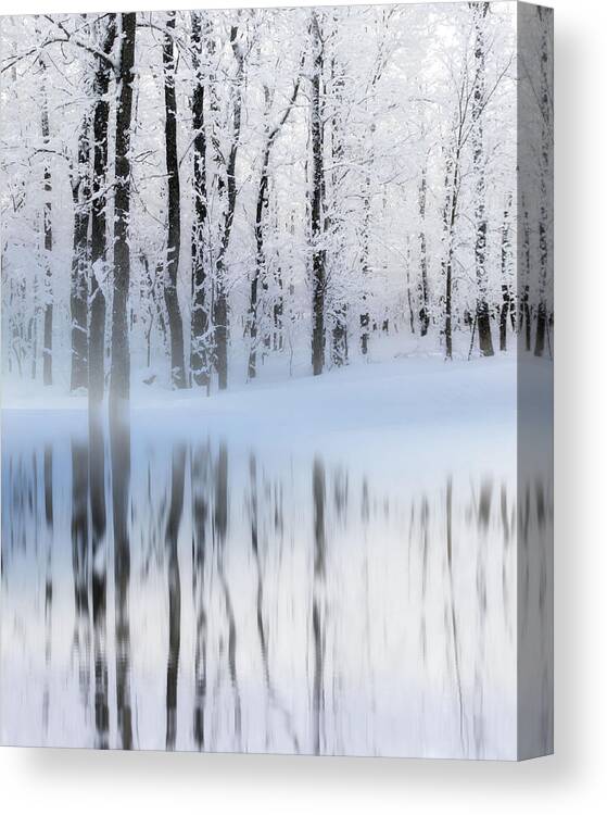 Winter Canvas Print featuring the photograph Reflection on a Dream Collingwood, ON by Andrea Kollo