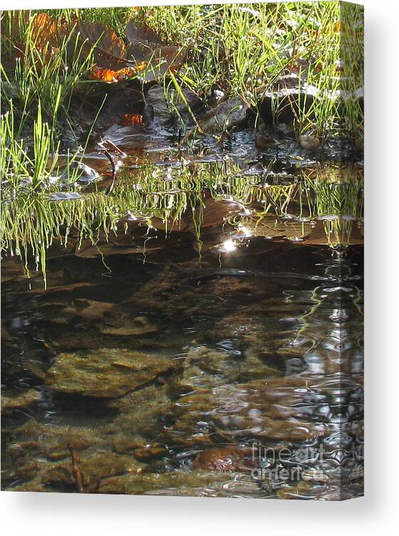 Nature Canvas Print featuring the photograph Reflections by Leone Lund