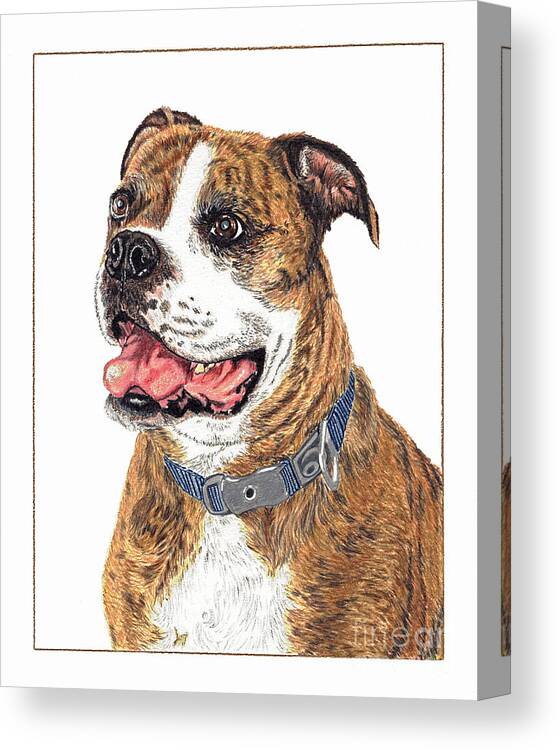 Dog Canvas Print featuring the painting Reggie by Val Miller