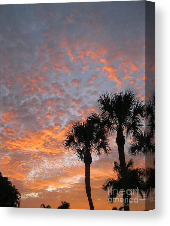 Sunrise Canvas Print featuring the photograph Rise and Shine. Florida. Morning Sky View by Oksana Semenchenko