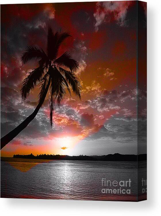 Palm Tree Image Canvas Print featuring the digital art Romance II by Yael VanGruber