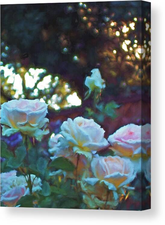 Floral Canvas Print featuring the photograph Rose 321 by Pamela Cooper