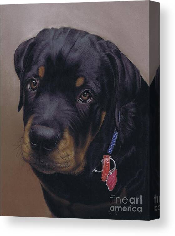 Dog Canvas Print featuring the pastel Rottweiler Dog by Karie-Ann Cooper