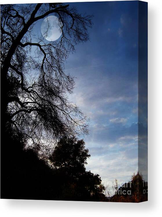 Nature Canvas Print featuring the photograph Shadowlands 4 by Peter Awax