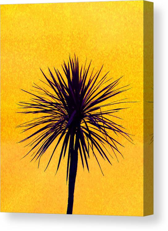 Palm Canvas Print featuring the photograph Silhouette On Gold by Margaret Saheed