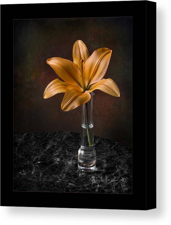 Flower Canvas Print featuring the photograph Single Asiatic Lily in Vase by Endre Balogh