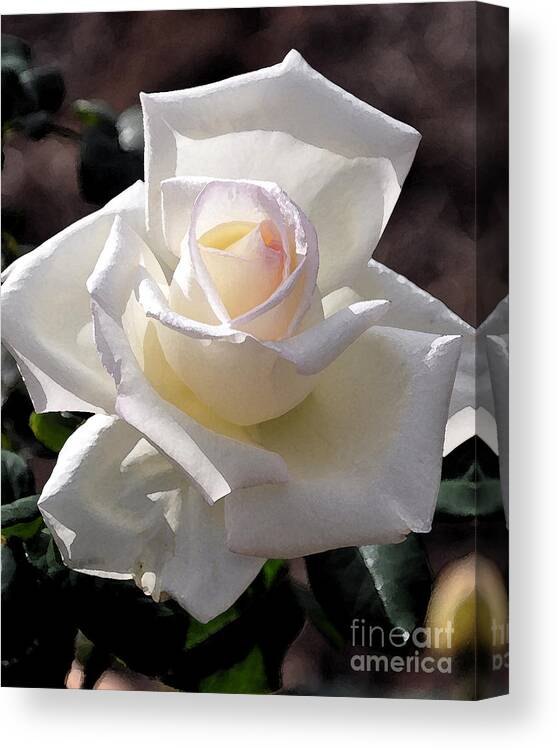 Rose Canvas Print featuring the digital art Snow White Rose by Kirt Tisdale