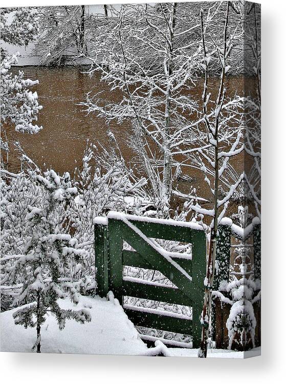  Canvas Print featuring the photograph Snowy River Gate by Matalyn Gardner