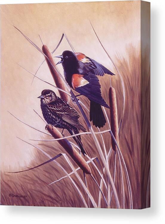 Red-winged Blackbird Canvas Print featuring the painting Song of the Marsh by Richard De Wolfe