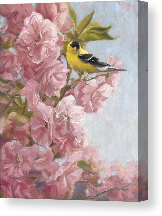American Goldfinch Canvas Print featuring the painting Spring Blossoms by Lucie Bilodeau