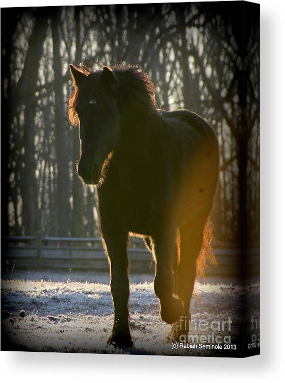 Horses Canvas Print featuring the photograph Storm Coming In For Breakfast by Rabiah Seminole