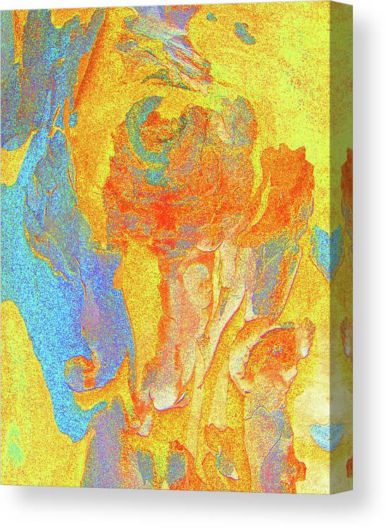 Bark Canvas Print featuring the photograph Summer Eucalypt Abstract 3 by Margaret Saheed