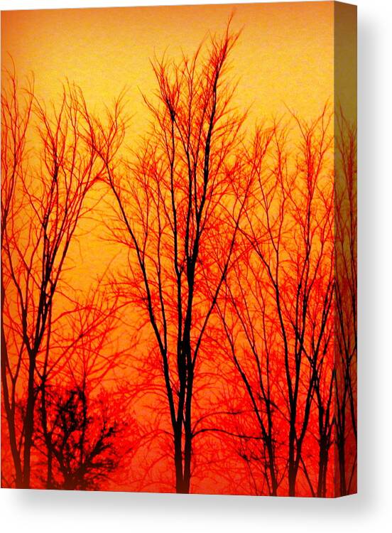 Sun Canvas Print featuring the photograph Sun Glow by Kimberly Woyak