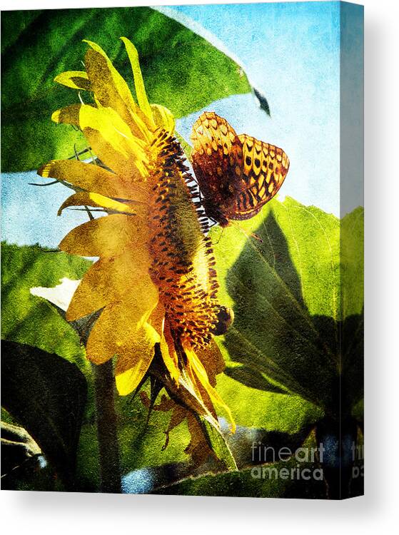 Beautiful Canvas Print featuring the photograph Sunflower Butterfly And Bee by Andee Design